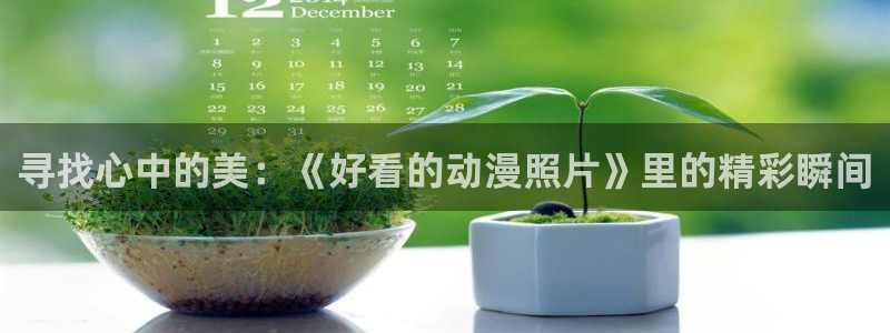omofun动漫官网在线看：寻找心中的美：《好看的动漫照片》里的精彩瞬间