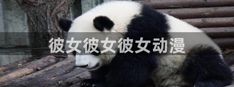 omofun动漫在线观看：彼女彼女彼女动漫