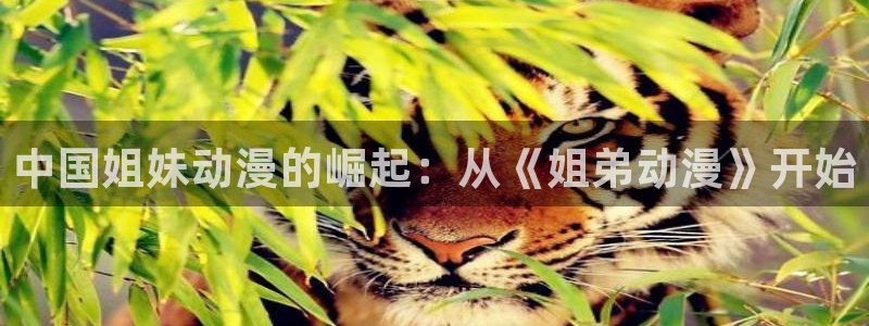 omofun轻量版：中国姐妹动漫的崛起：从《姐弟动漫》开始