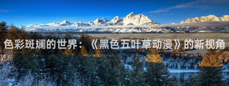 omofun自签：色彩斑斓的世界：《黑色五叶草动漫》的新视角