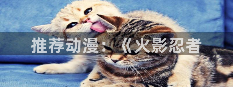 omofun下载：推荐动漫：《火影忍者